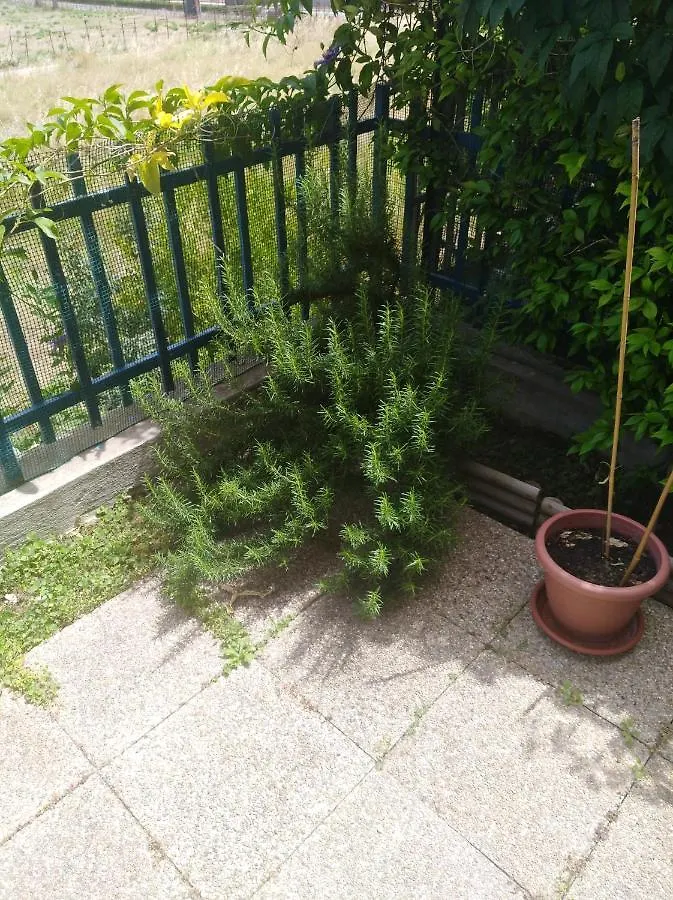 Camera delle Libellule Cagliari Affittacamere